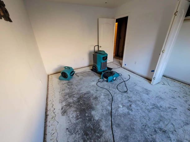 Best Carpet water damage restoration  in Frontenac, KS