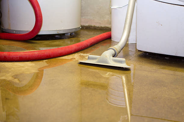 Best Ceiling water damage repair  in Frontenac, KS